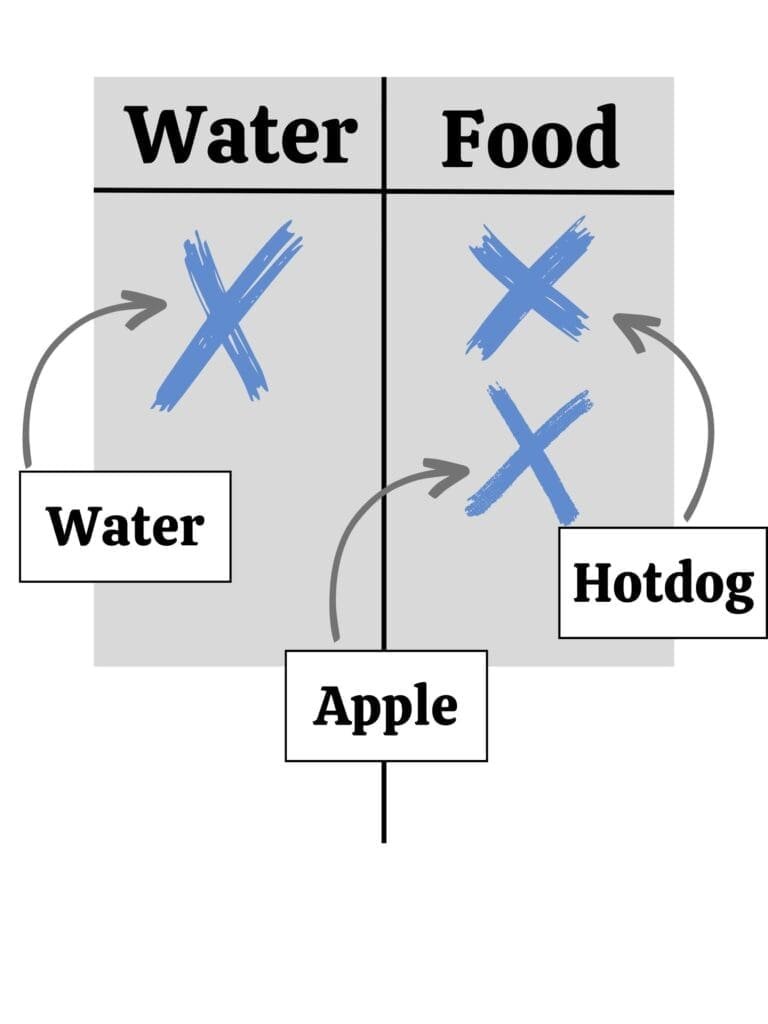 Picture demonstrating the game: Two columns, one column titled Water, the second titled Food. There is one check under the water column labeled "water" and two checks under Food. One check is labeled "Apple" and one is labeled "Hotdog"